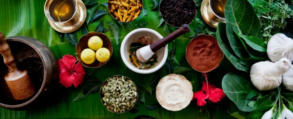 basic principles of ayurveda 1b36ca44 166e 459d a9a3 40bc0c358c26